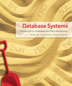 Test Bank for Database Systems: Introduction to Databases and Data Warehouses, Nenad Jukic, Susan Vrbsky Svetlozar Nestorov