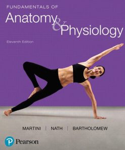 Test Bank for Fundamentals of Anatomy and Physiology 11th Edition by Martini