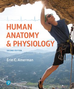 Test Bank for Human Anatomy and Physiology, 2nd Edition Erin C. Amerman