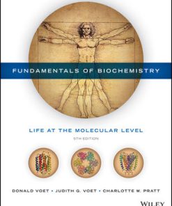 Test bank for Fundamentals of Biochemistry: Life at the Molecular Level 5th Edition by Voet