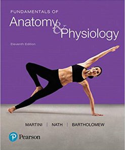 Test Bank for Fundamentals of Anatomy & Physiology 11th Edition by Martini