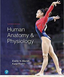 Test Bank for Human Anatomy & Physiology (11th Edition) 11th Edition