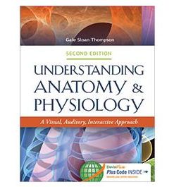 Test Bank for Understanding Anatomy and Physiology 2nd Edition by Thompson