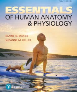 Test Bank for Essentials of Human Anatomy and Physiology, 12th Edition, Elaine N. Marieb Suzanne M. Keller