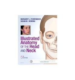 Test Bank for Illustrated Anatomy of the Head and Neck 5th Edition by Fehrenbach