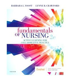 Test Bank for Fundamentals of Nursing 2nd Edition by Yoost