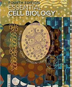 Test Bank for Essential Cell Biology 4th Edition Bruce Alberts