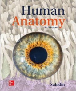 Solution Manual for Human Anatomy 6th Edition Kenneth Saladin