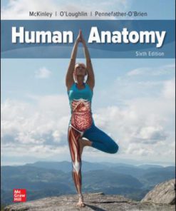 Test Bank for Human Anatomy, 6th Edition, Michael McKinley, Valerie O’Loughlin Elizabeth Pennefather-O’Brien