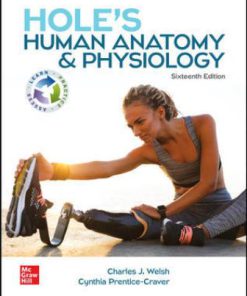 Test Bank for Hole’s Human Anatomy & Physiology, 16th Edition, Charles Welsh Cynthia Prentice-Craver