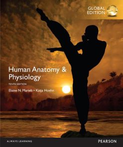 Test Bank for Human Anatomy and Physiology Global Edition 10th Edition Marieb