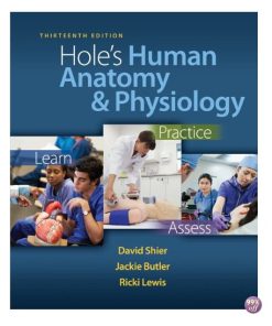 Test Bank for Holes Human Anatomy and Physiology 13th Edition by Shier