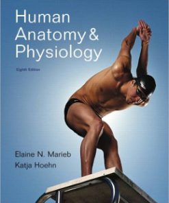 Test Bank for Human Anatomy and Physiology, 8th Edition, Elaine N. Marieb