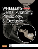 Test Bank for Wheeler’s Dental Anatomy Physiology and Occlusion 10th Edition by Nelson