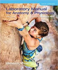 Test Bank for Laboratory Manual for Anatomy & Physiology 6th by Wood