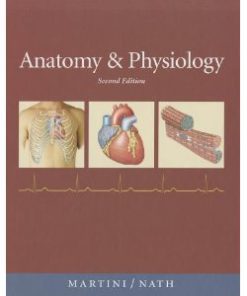 Test Bank for Anatomy & Physiology, 2nd Edition : Martini Nash