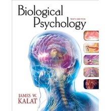 Biological Psychology Kalat 10th Edition Test Bank