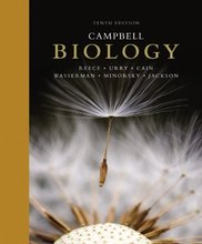 Campbell Biology Reece 10th Edition Test Bank