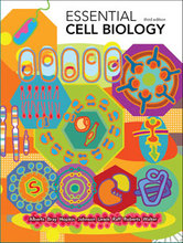 Essential Cell Biology Alberts 3rd Edition Test Bank