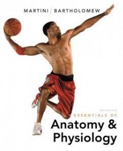 Test Bank for Essentials of Anatomy & Physiology, 6th Edition: Frederic H. Martini