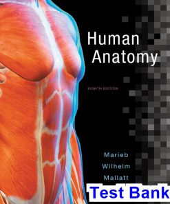 Human Anatomy 8th Edition Marieb Test Bank