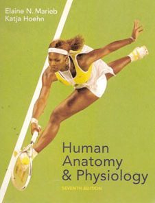 Test Bank For Human Anatomy And Physiology, 7 Revised ed of US ed edition: Elaine Nicpon Marieb