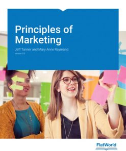 Principles of Marketing Version 3 0 3rd Tanner Solution Manual