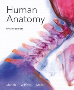 Test Bank for Seeleys Anatomy and Physiology, 10th Edition : VanPutte