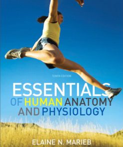 Solution Manual for Essentials of Human Anatomy & Physiology, 10th Edition by Marieb