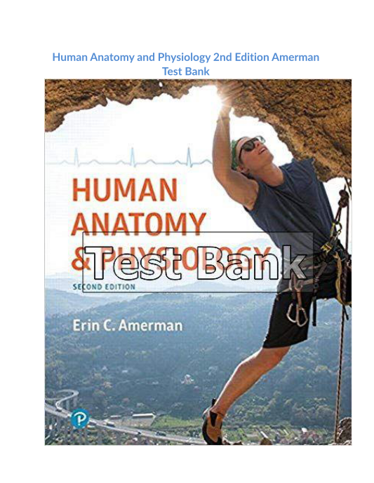 Human Anatomy and Physiology 2nd Edition Amerman Test Bank