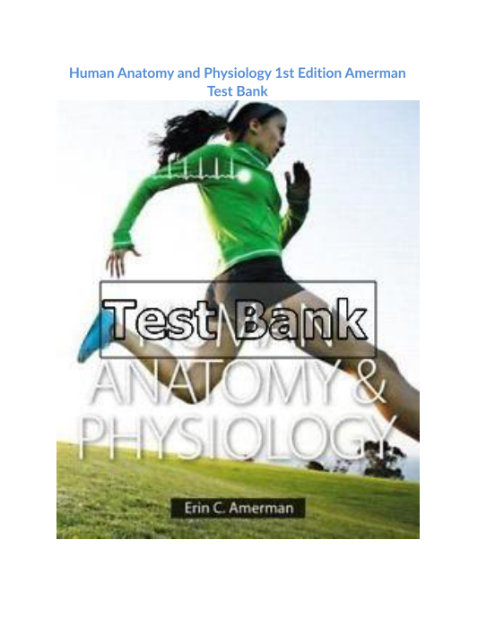 Human Anatomy and Physiology 1st Edition Amerman Test Bank