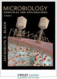 Black Microbiology Principles and Explorations, 7th Edition Test Bank 