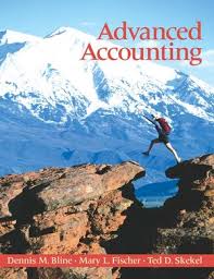 Bline, Fischer, Skekel Advanced Accounting Solution Manual