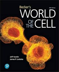 Becker's World of the Cell, 10th Edition Jeff Hardin and James P. LodolceJeff Hardin Solution Manual 